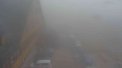 Parkoviště a hlavní vchod