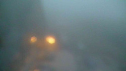 Parkoviště a hlavní vchod