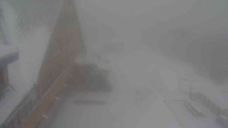 Parkoviště a hlavní vchod