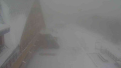 Parkoviště a hlavní vchod