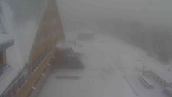 Parkoviště a hlavní vchod