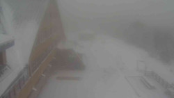 Parkoviště a hlavní vchod