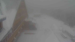 Parkoviště a hlavní vchod