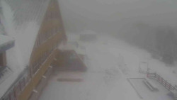 Parkoviště a hlavní vchod