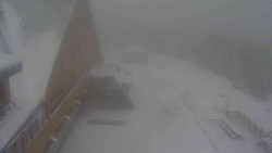 Parkoviště a hlavní vchod