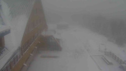 Parkoviště a hlavní vchod