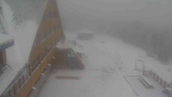 Parkoviště a hlavní vchod