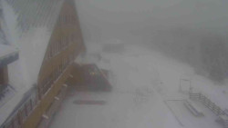 Parkoviště a hlavní vchod