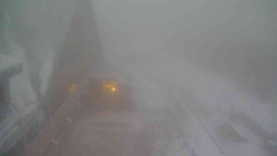 Parkoviště a hlavní vchod