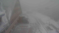 Parkoviště a hlavní vchod