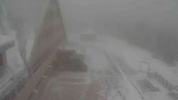 Parkoviště a hlavní vchod