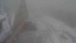 Parkoviště a hlavní vchod