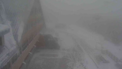 Parkoviště a hlavní vchod