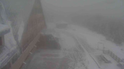 Parkoviště a hlavní vchod