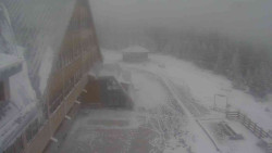 Parkoviště a hlavní vchod