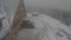 Parkoviště a hlavní vchod