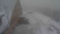 Parkoviště a hlavní vchod