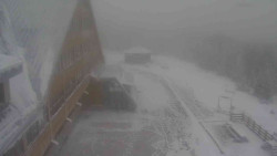 Parkoviště a hlavní vchod