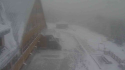 Parkoviště a hlavní vchod