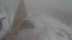 Parkoviště a hlavní vchod