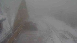 Parkoviště a hlavní vchod