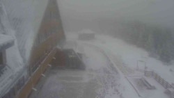 Parkoviště a hlavní vchod