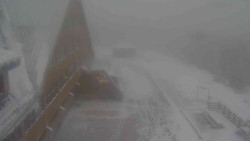 Parkoviště a hlavní vchod