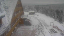 Parkoviště a hlavní vchod