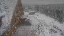 Parkoviště a hlavní vchod