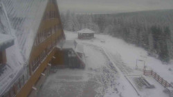 Parkoviště a hlavní vchod