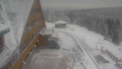 Parkoviště a hlavní vchod