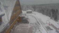 Parkoviště a hlavní vchod