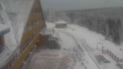 Parkoviště a hlavní vchod