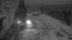 Parkoviště a hlavní vchod