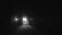 Parkoviště a hlavní vchod