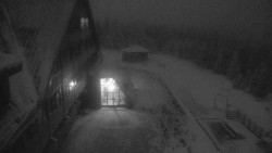 Parkoviště a hlavní vchod