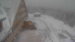 Parkoviště a hlavní vchod