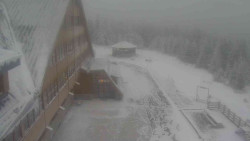 Parkoviště a hlavní vchod