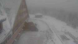 Parkoviště a hlavní vchod