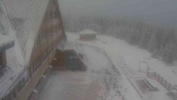 Parkoviště a hlavní vchod