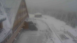 Parkoviště a hlavní vchod