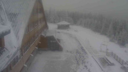 Parkoviště a hlavní vchod