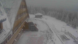 Parkoviště a hlavní vchod