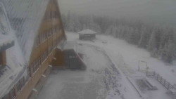 Parkoviště a hlavní vchod