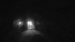 Parkoviště a hlavní vchod