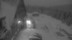 Parkoviště a hlavní vchod