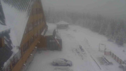 Parkoviště a hlavní vchod