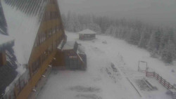 Parkoviště a hlavní vchod