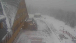 Parkoviště a hlavní vchod