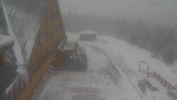 Parkoviště a hlavní vchod